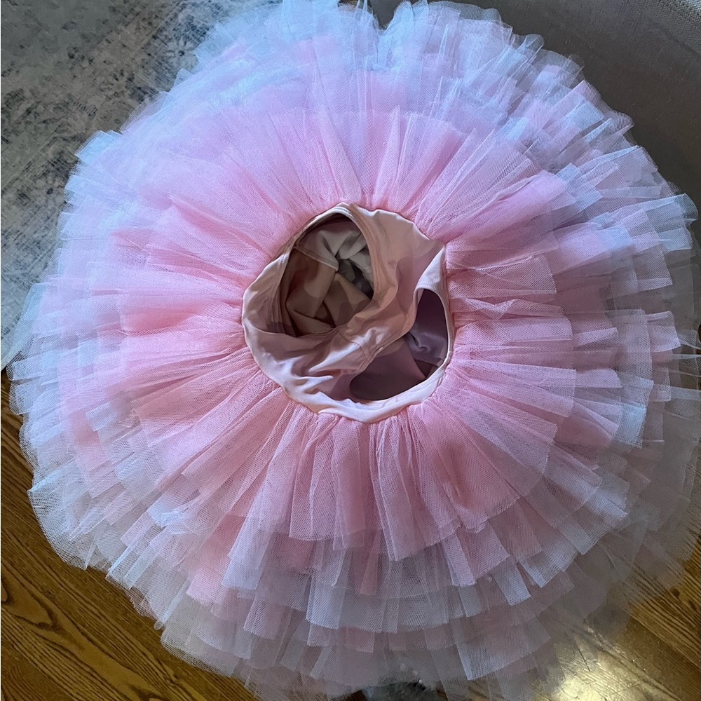 Platter tutu worn for YAGP Fairy Doll variation! - Picture 3 of 3